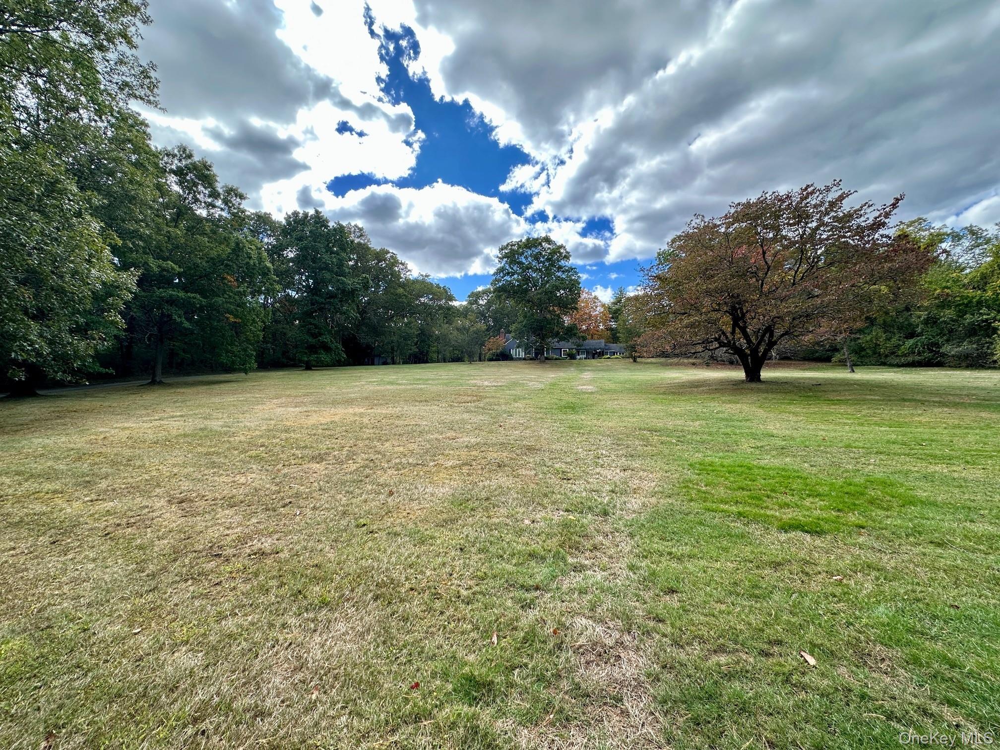 2003 Midlane Road South Muttontown, NY 11791 - Photo 4 of 5 View of grassy yard