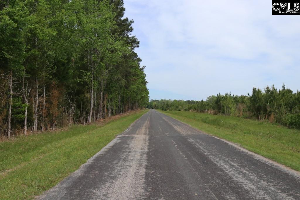 Beulah Road Leesville, SC 29070 - Photo 19 of 19