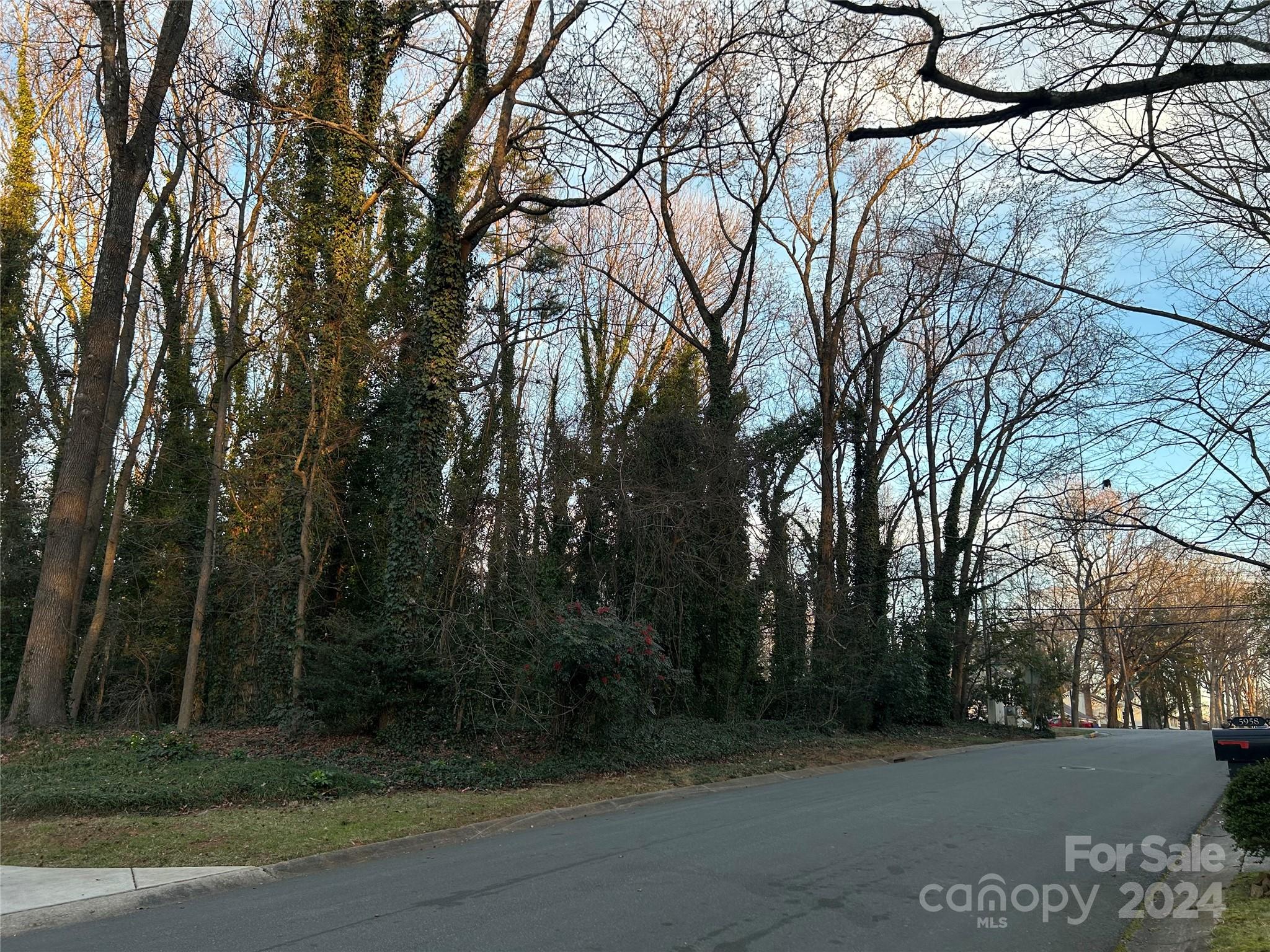 0 Rama Road Charlotte, NC 28211 - Photo 1 of 4 Gallery Image 1