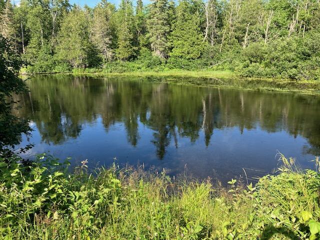 0 Thoroughfare Road Sinclair, ME 04779 - Photo 2 of 36 IMG_3219