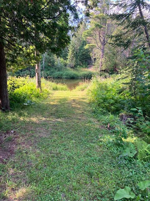 0 Thoroughfare Road Sinclair, ME 04779 - Photo 4 of 36 IMG_3217