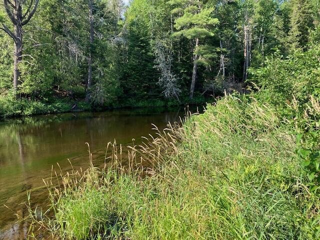 0 Thoroughfare Road Sinclair, ME 04779 - Photo 6 of 36 IMG_3215