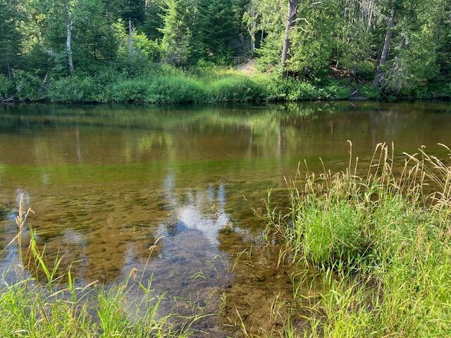 0 Thoroughfare Road Sinclair, ME 04779 - Photo 7 of 36 IMG_3214