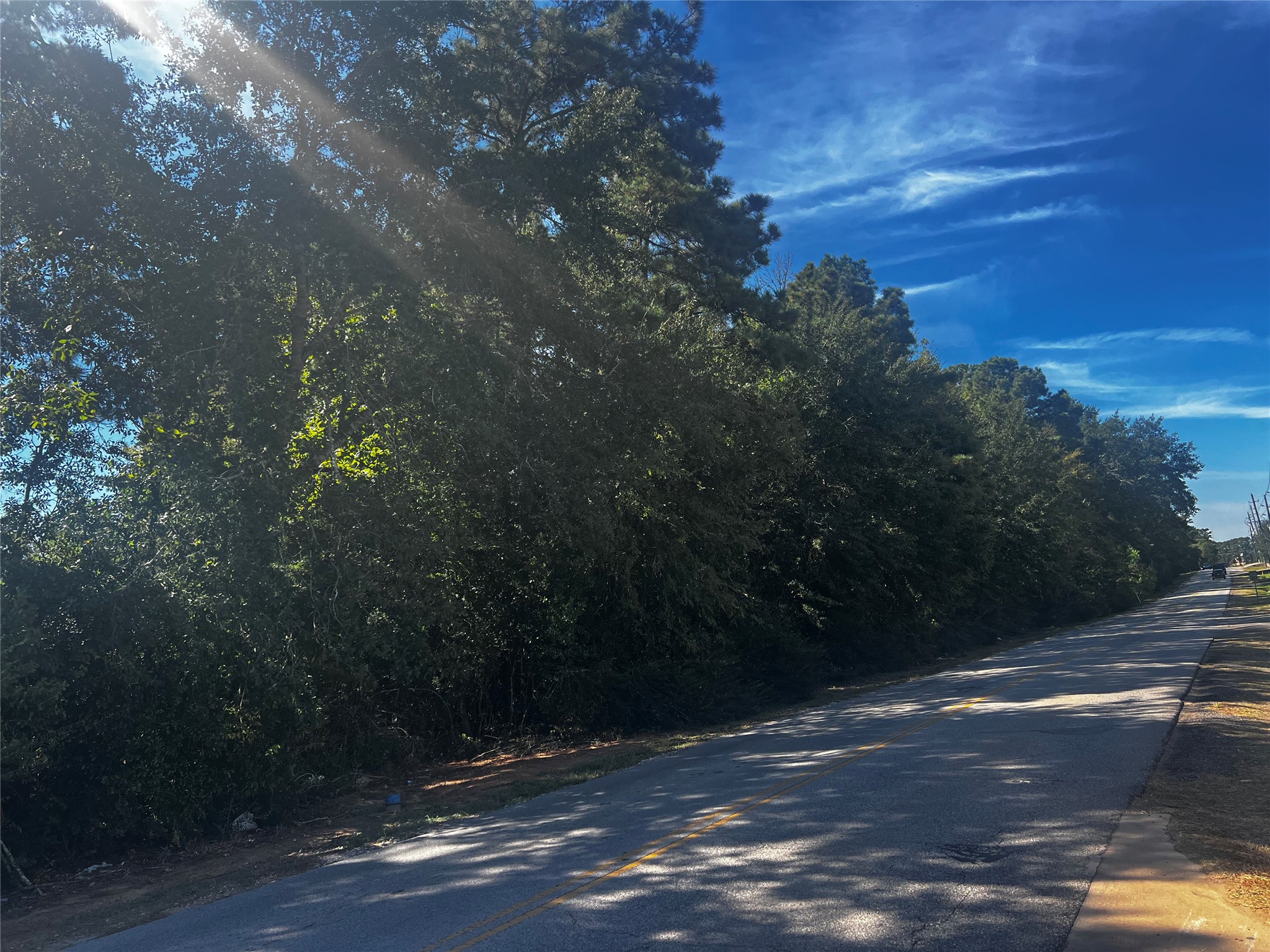 Tbd Buddy Riley Boulevard Magnolia, TX 77354 - Photo 3 of 6