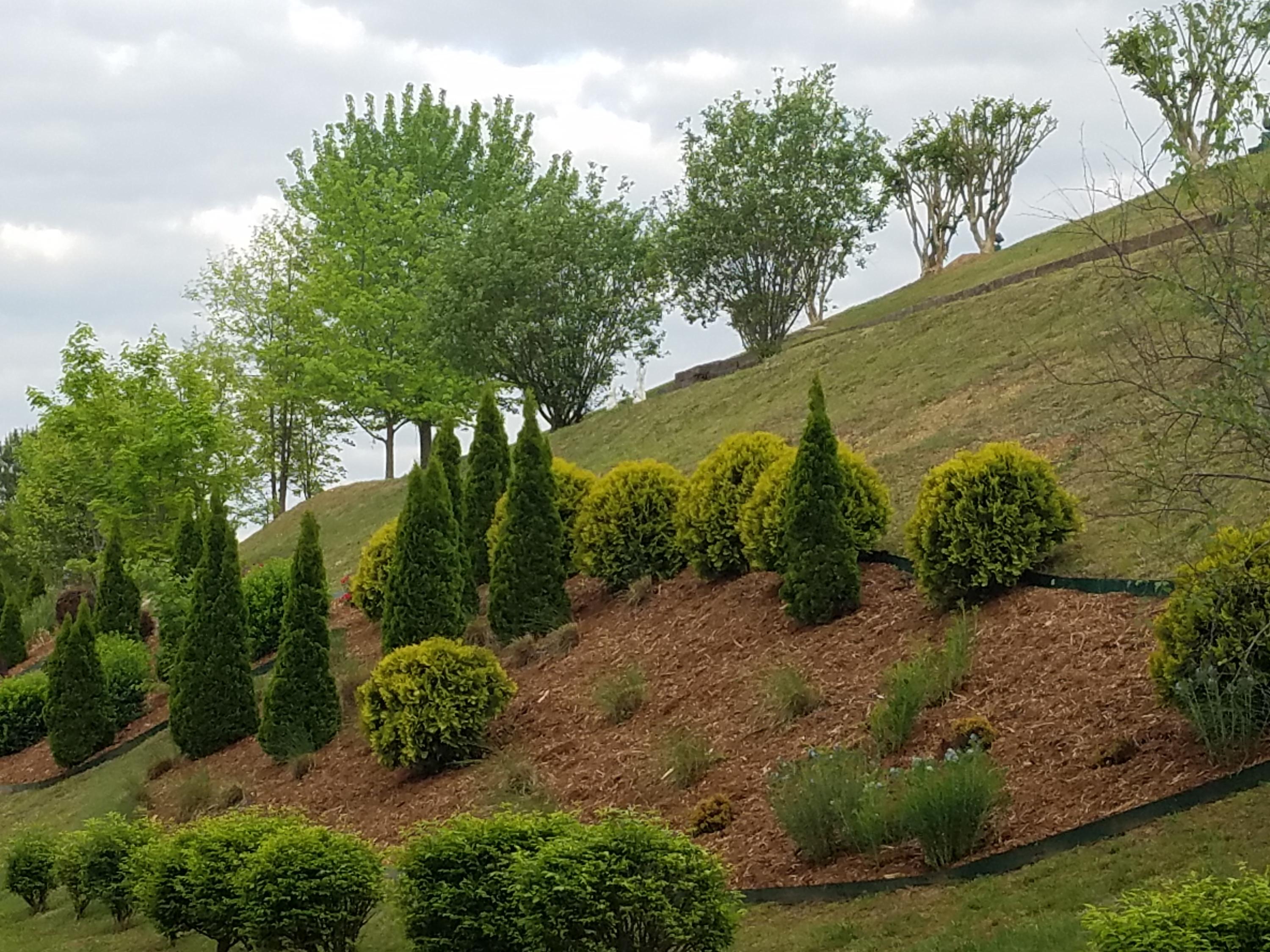 361 Walker Brow Ridge Road Northwest Cleveland, TN 37312 - Photo 2 of 24 20160425_084459