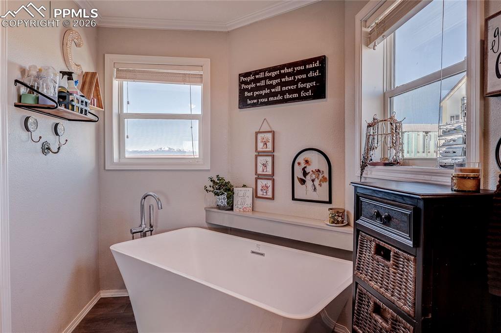 11860 Eureka Road Peyton, CO 80831 - Photo 30 of 42