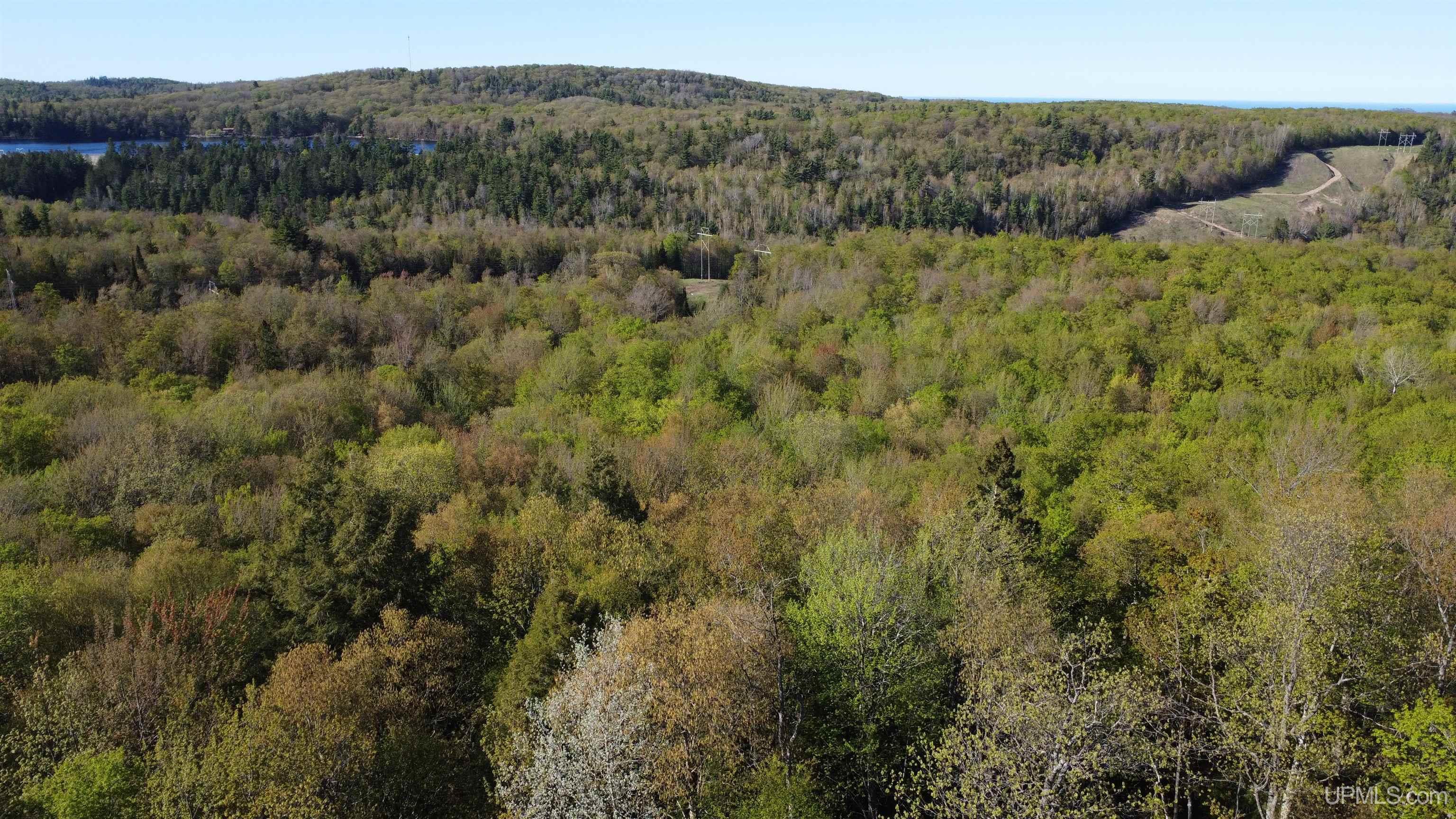 Off Off Hoist Road Negaunee, MI 49866 - Photo 3 of 45