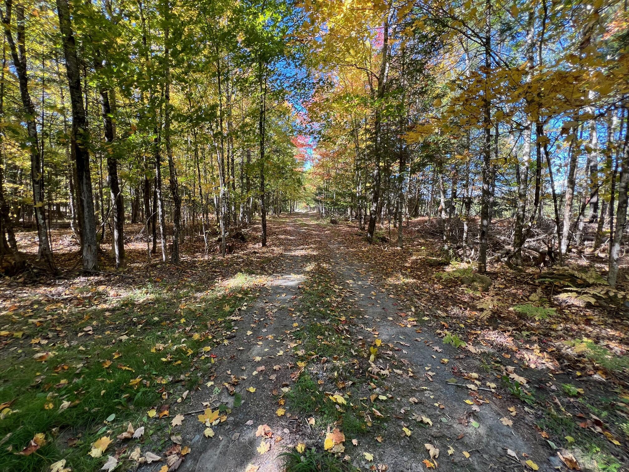 10 Map Road Dover-Foxcroft, ME 04426 - Photo 9 of 15 9