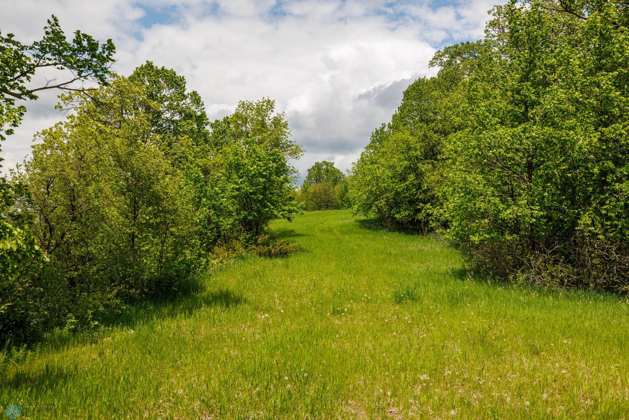 Tbd Wrigley Circle Vergas, MN 56587 - Photo 19 of 20