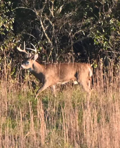 $1,845,000 | 1370 Middlebrook Road, Staunton, VA 24401
