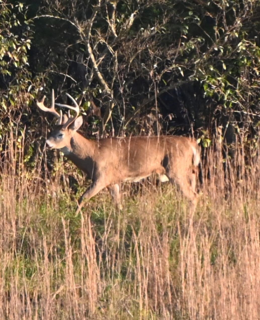 1370 Middlebrook Road Staunton, VA 24401 - Photo 63 of 73