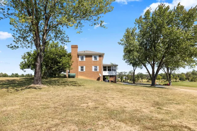 a view of a forest with trees in the background