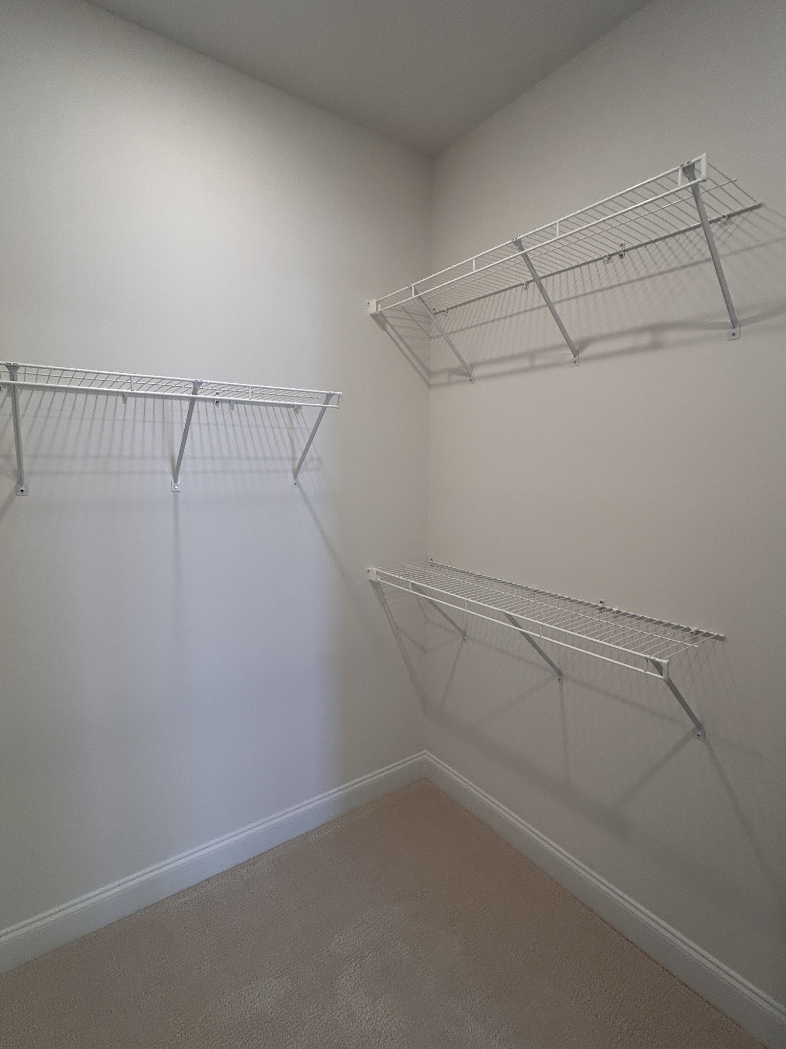 420 Sharp Way Murfreesboro, TN 37128 - Photo 17 of 51 a view of a room with racks on the wall