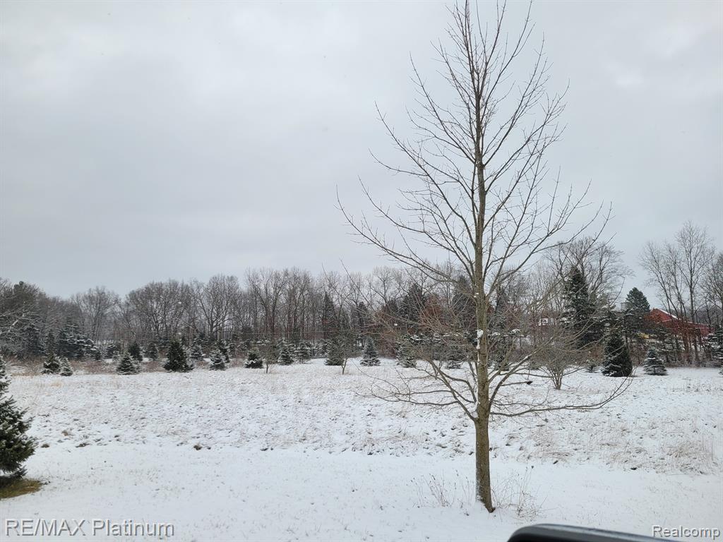 Parc B Tipsico Lake Road Hartland, MI 48353 - Photo 19 of 22