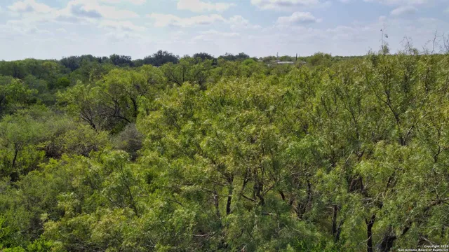 an aerial view of a houses with a lush green forest