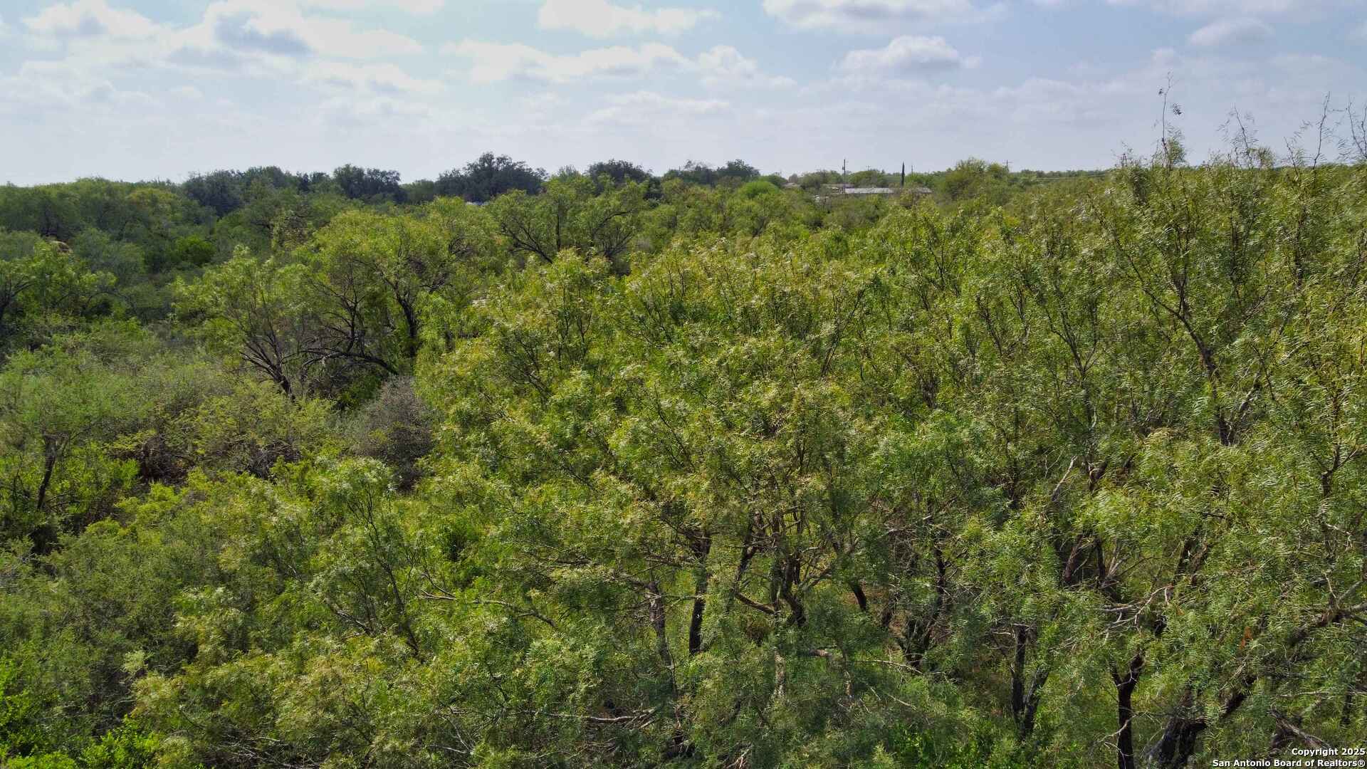 an aerial view of a houses with a lush green forest