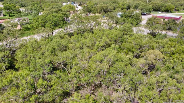 a view of a garden with a building