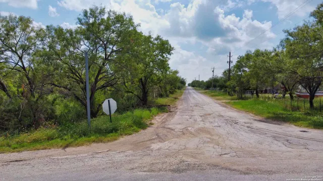 a view of a forest with a street