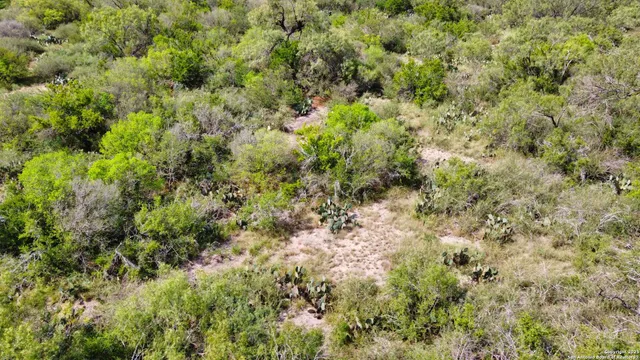 a view of a lush green forest with houses