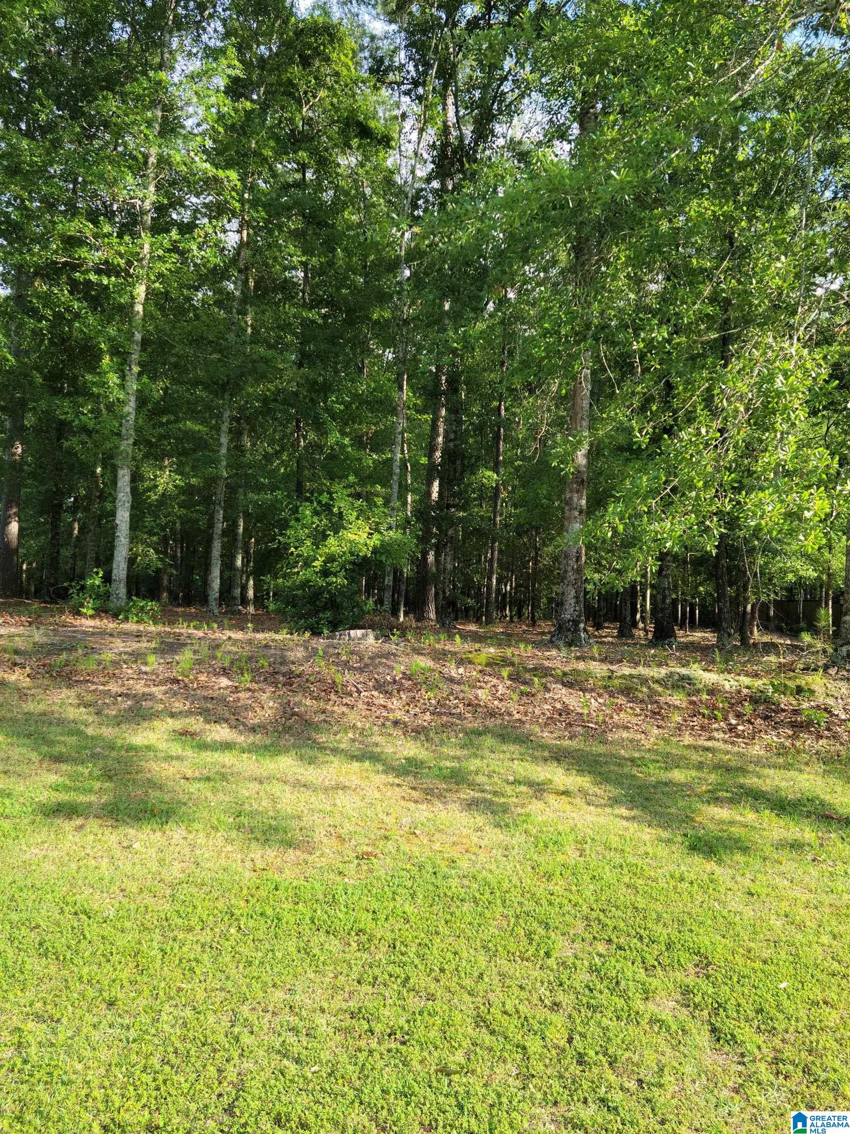 128 Fawn Drive, Unit 16 Clanton, AL 35045 - Photo 1 of 1
