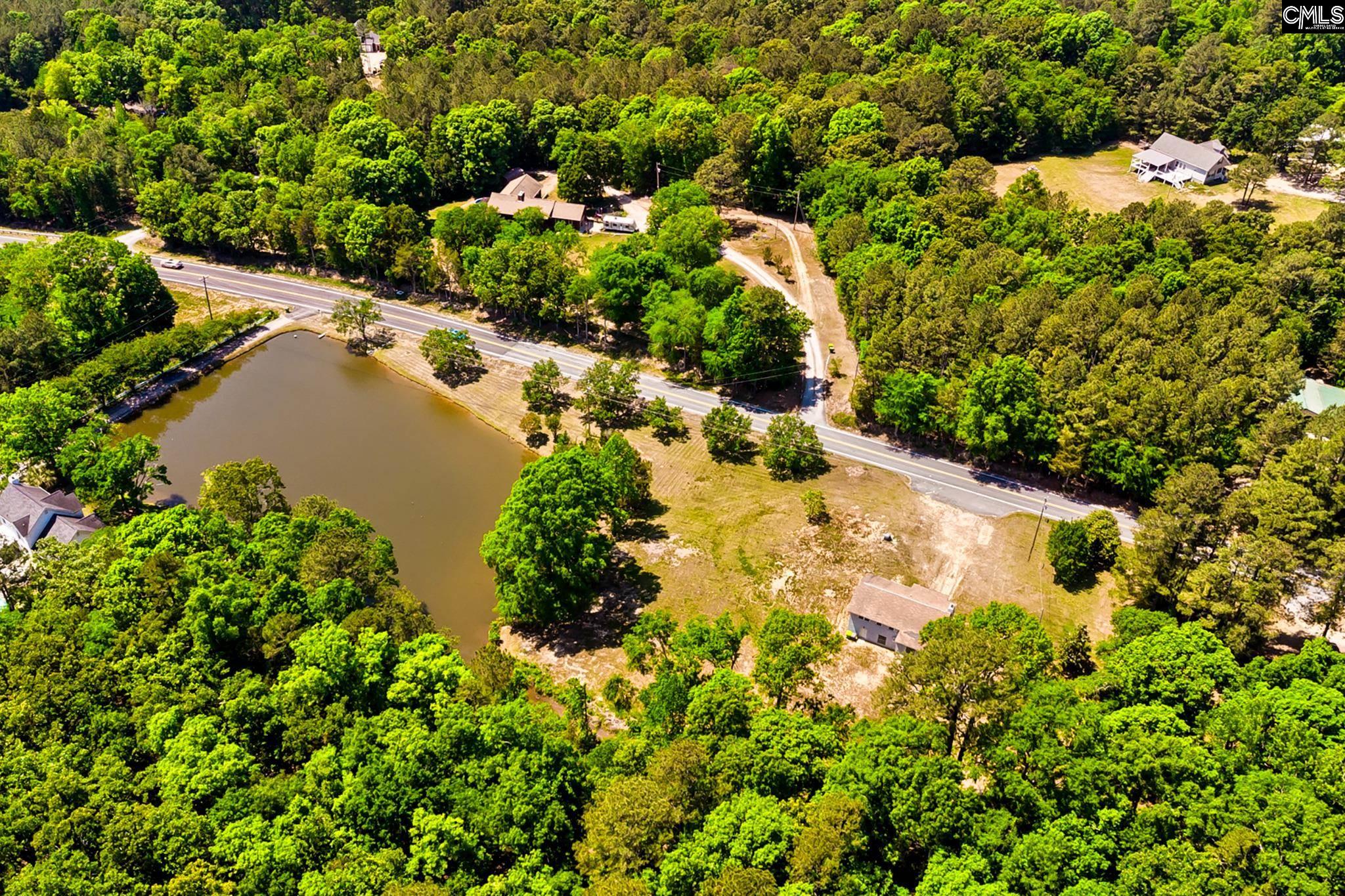 1133 Old Hilton Road Chapin, SC 29036 - Photo 48 of 50