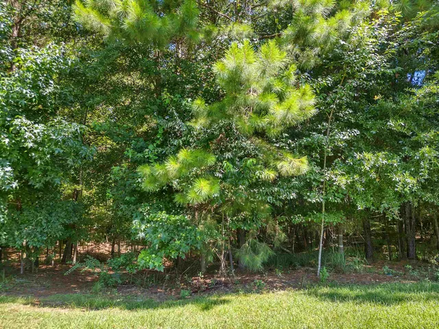 $135,000 | 0 Shoal Creek Drive, Tallahassee, FL 32312