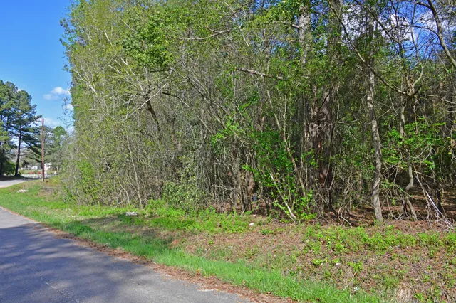 $30,000 | 0 Ridgelake(lot 14-b) Circle, St. Matthews, SC 29135