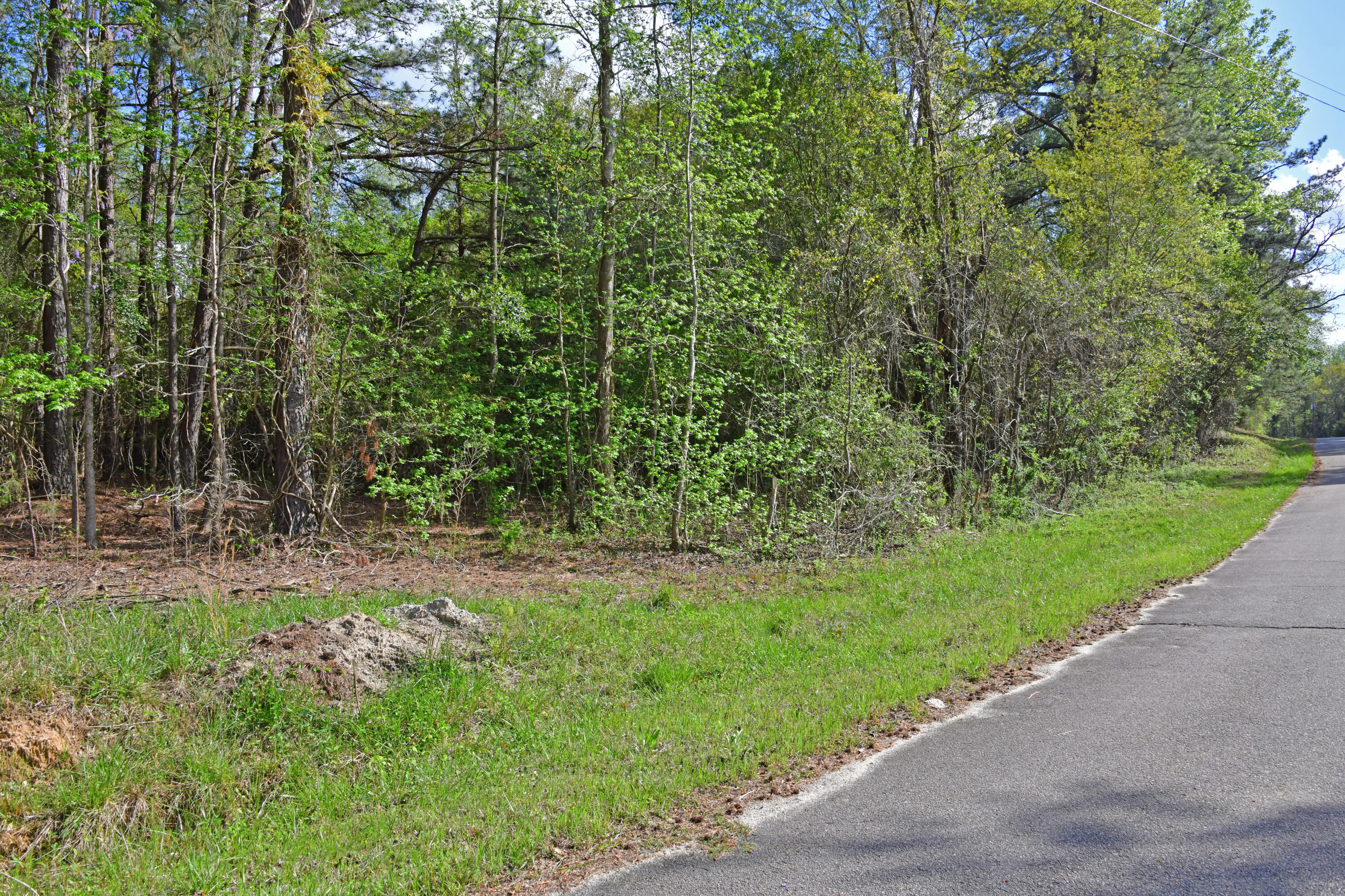 0 Ridgelake(lot 14-b) Circle St. Matthews, SC 29135 - Photo 2 of 4 Ridgelake Cir lot 14B.3