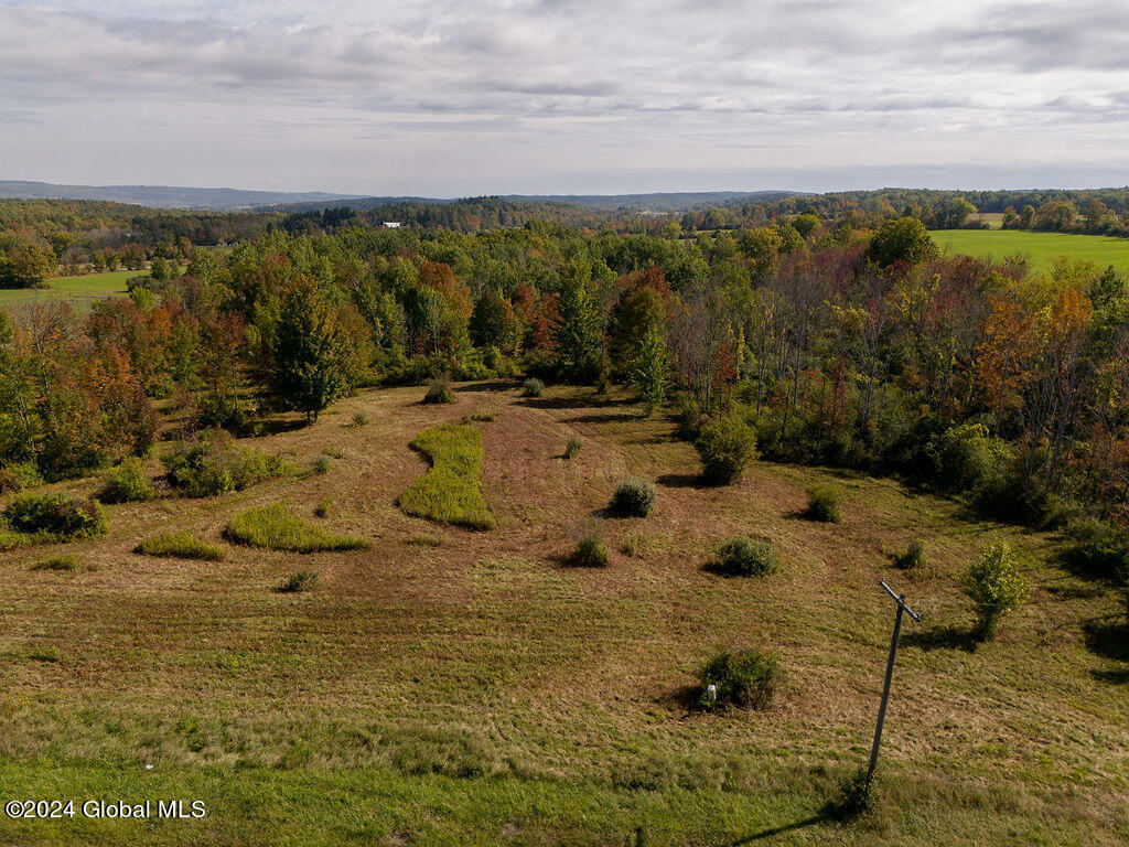 L12.12 Chadwick Road Delanson, NY 12053 - Photo 3 of 5 DJI_20240920105931_0106_D