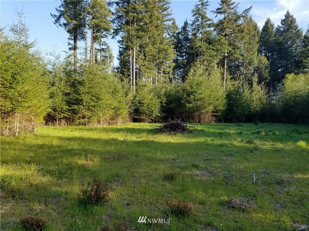 2840 East Phillips Lake Loop Road Shelton, WA 98584 - Photo 8 of 10 Gallery Image 8