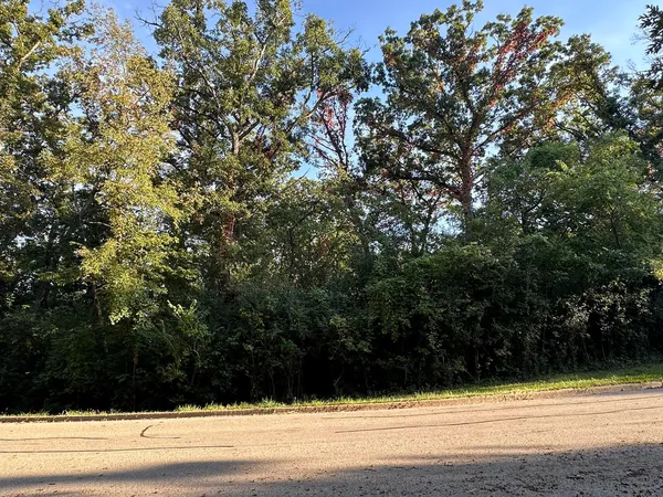 a view of a yard