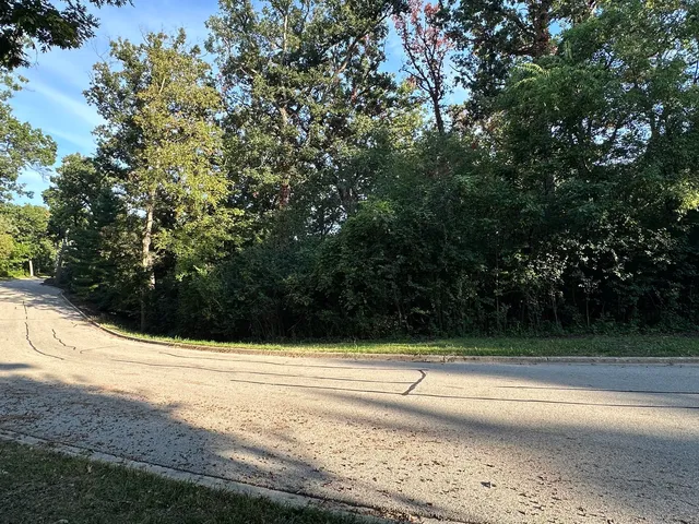 a view of a yard with large trees