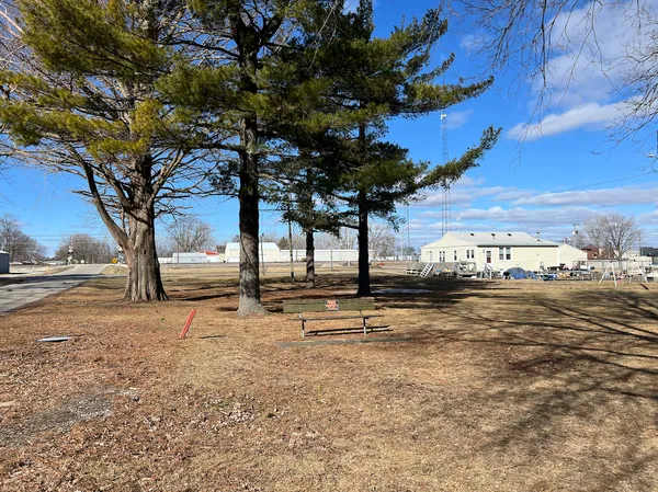 a view of a yard with an tree
