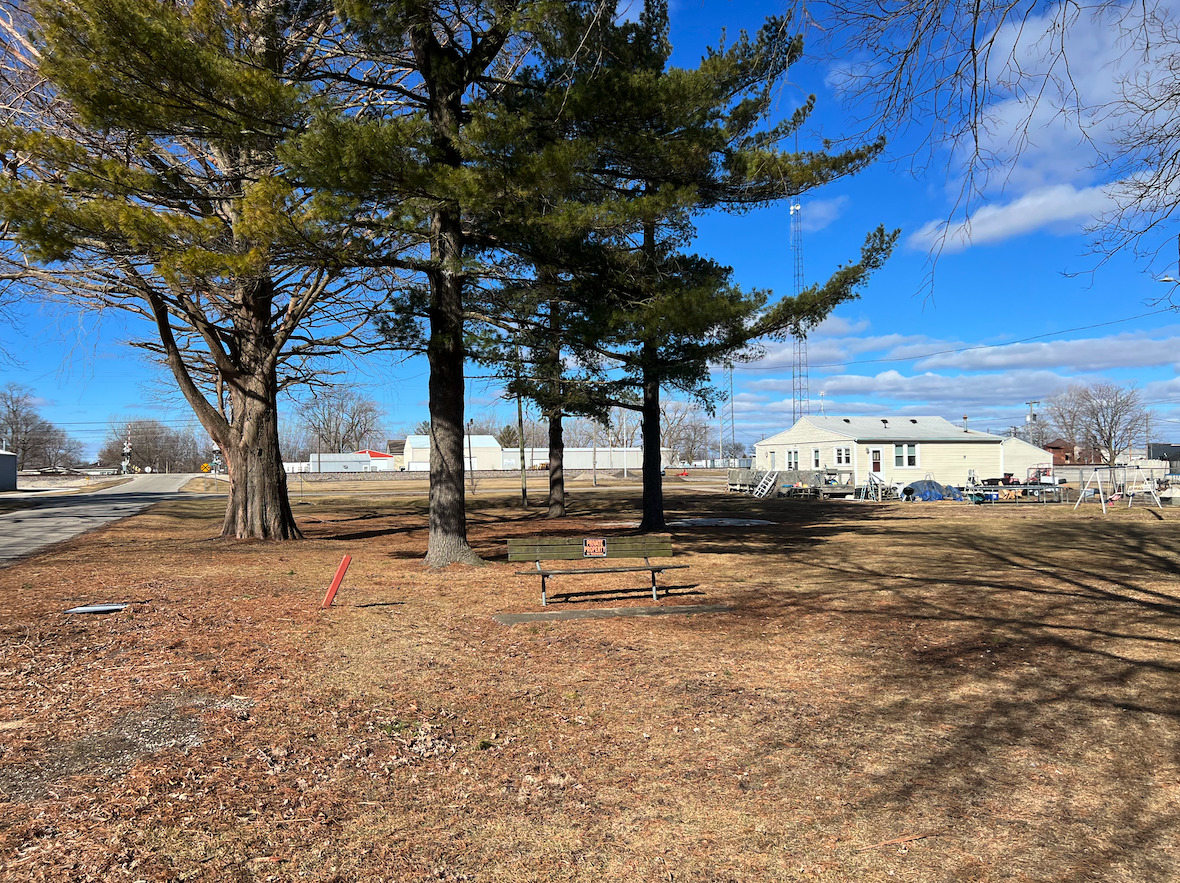 308 West Oliver Street Mansfield, IL 61854 - Photo 2 of 5 a view of a yard with an tree