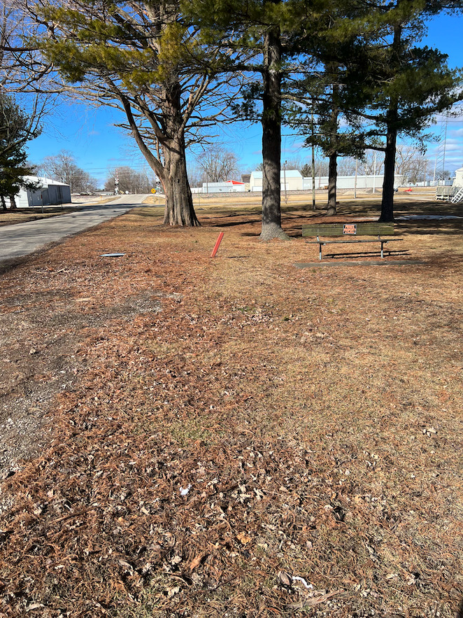 308 West Oliver Street Mansfield, IL 61854 - Photo 3 of 5 a view of dirt yard with a large tree