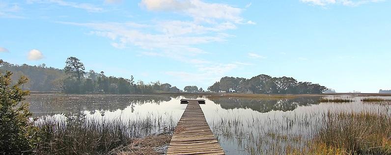 5006 Chisolm Road Johns Island, SC 29455 - Photo 34 of 36 IMG_6994-copy mod