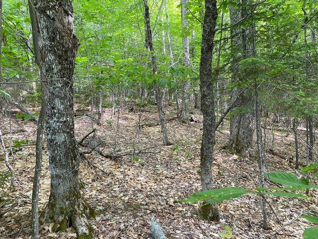 154 Blanchard Road Shirley Mills, ME 04485 - Photo 3 of 12 IMG_2705