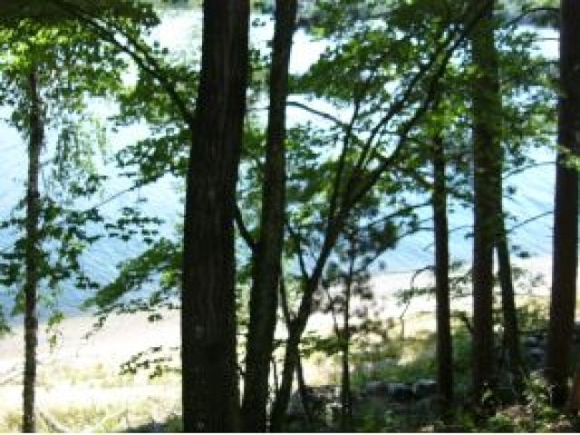 Lot 1 Two Lakes Rd Lake Lake Tomahawk, WI 54539 - Photo 1 of 12 Gallery Image 1