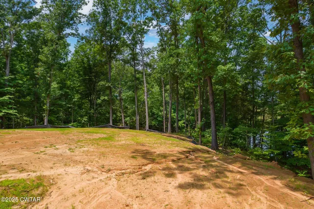 a view of outdoor space with trees all around