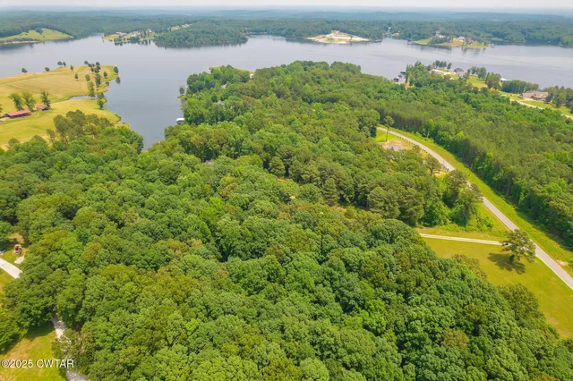 a view of a lake with a city view