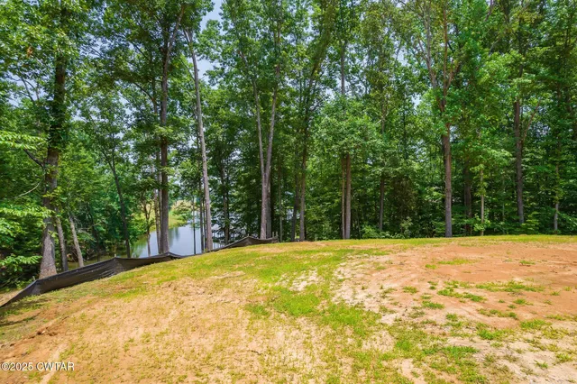 a view of a yard with trees in the background