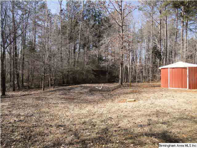 98 Ernest Road Wedowee, AL 36278 - Photo 17 of 17