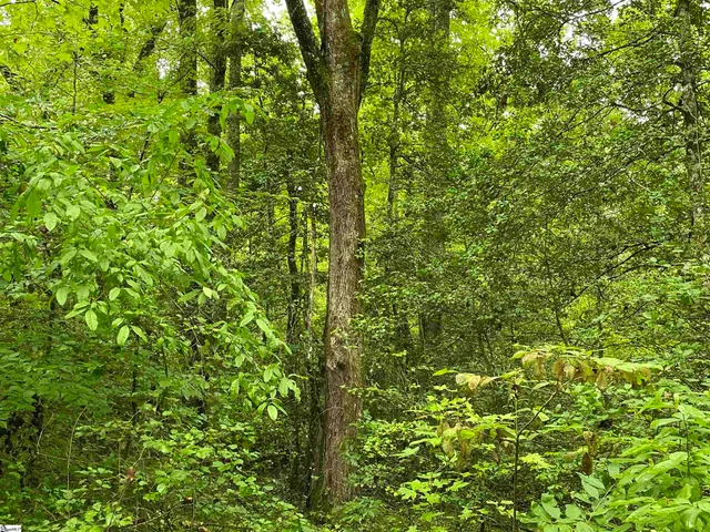 $425,500 | 0 North Little River Road, Salem, SC 29676