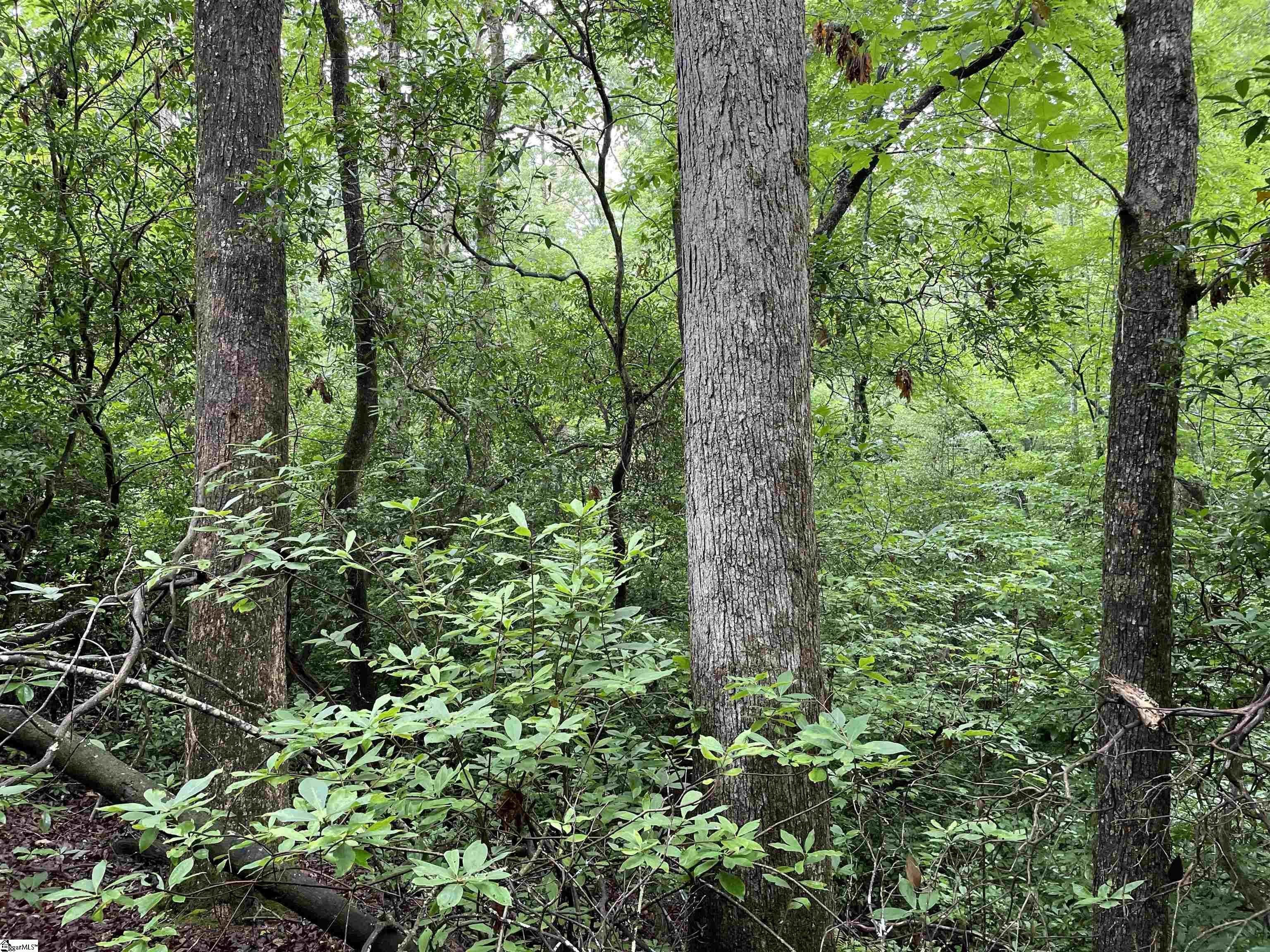 0 North Little River Road Salem, SC 29676 - Photo 12 of 24