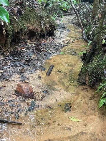 $425,500 | 0 North Little River Road, Salem, SC 29676