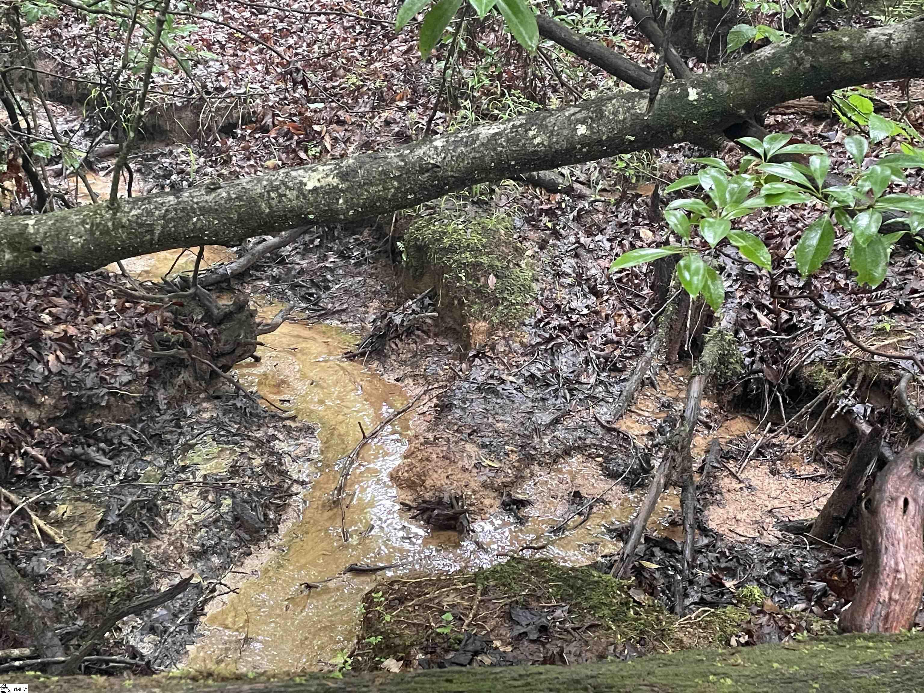 0 North Little River Road Salem, SC 29676 - Photo 3 of 24