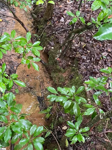 $425,500 | 0 North Little River Road, Salem, SC 29676