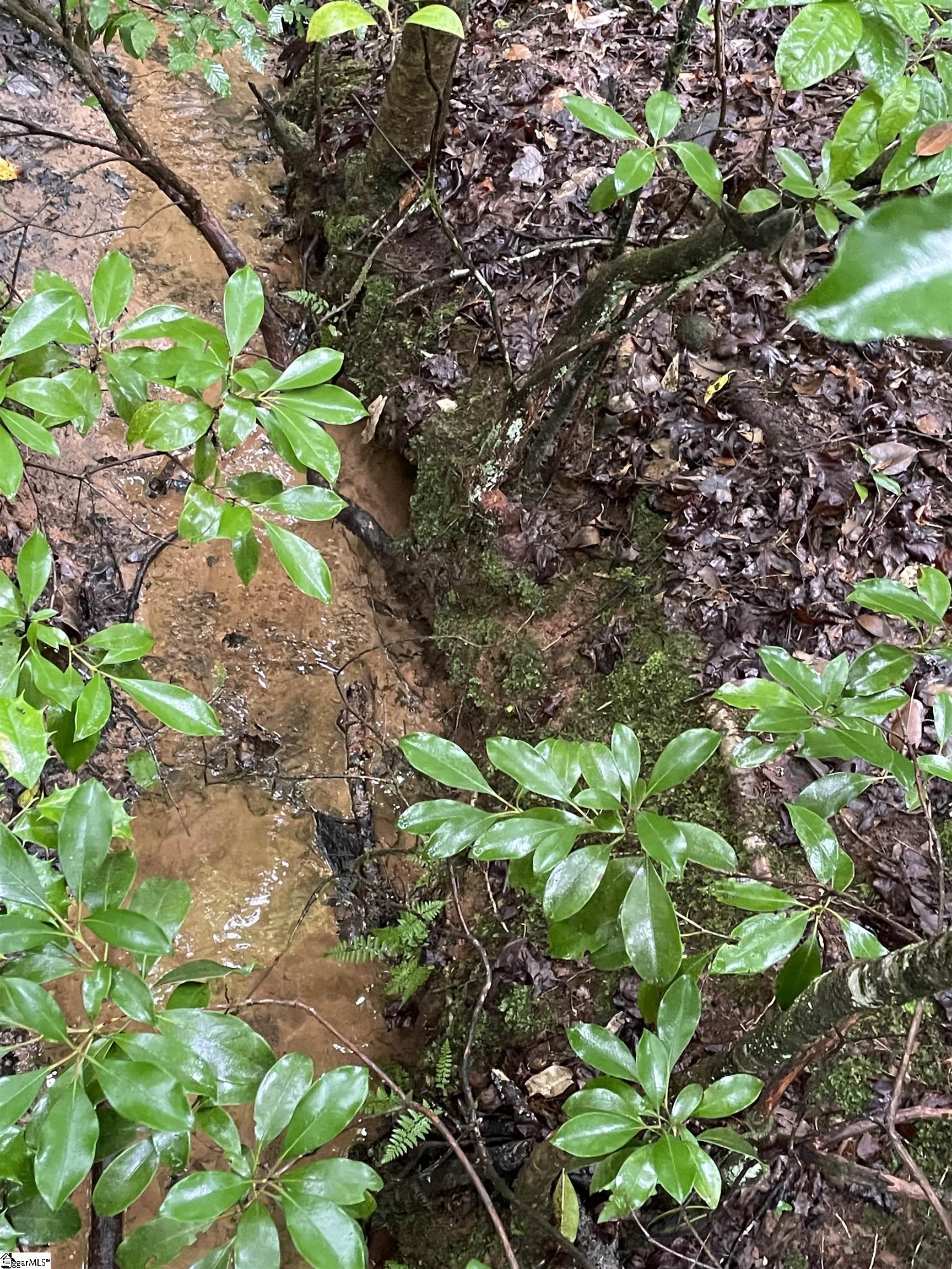 0 North Little River Road Salem, SC 29676 - Photo 4 of 24