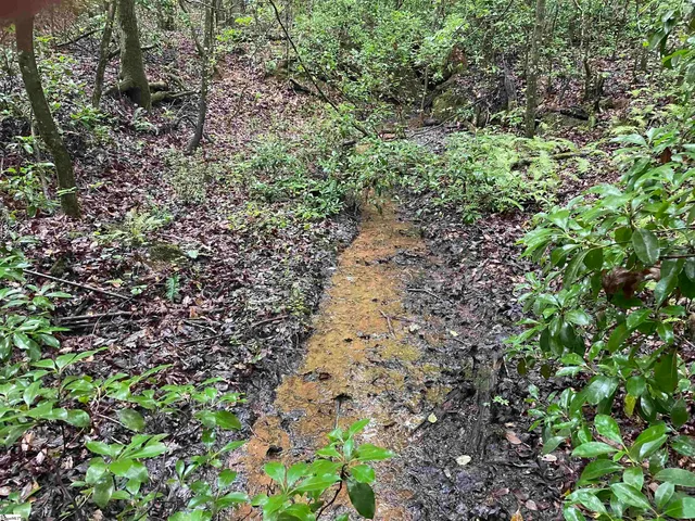 $425,500 | 0 North Little River Road, Salem, SC 29676