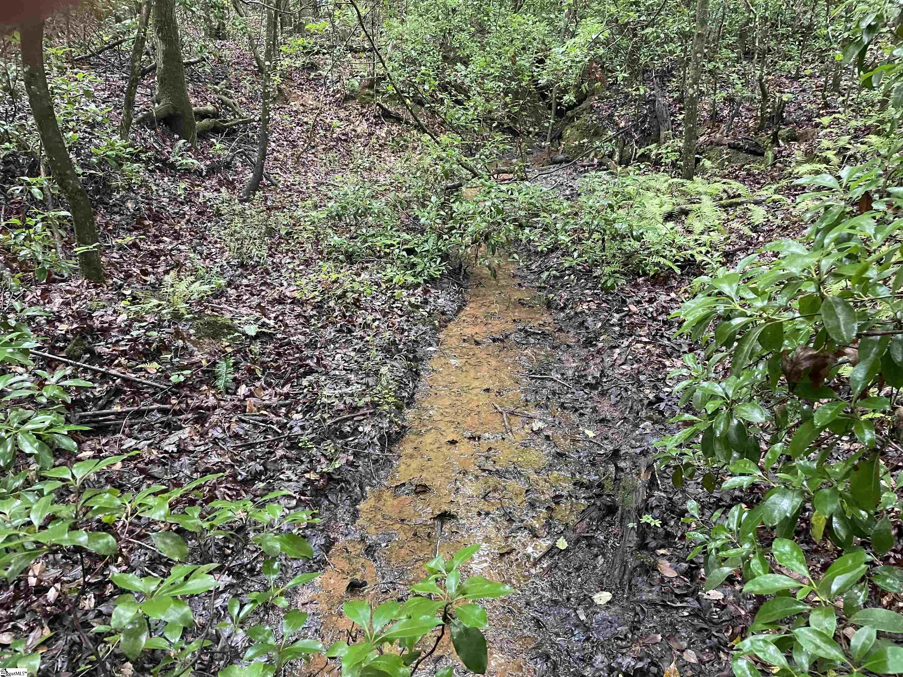 0 North Little River Road Salem, SC 29676 - Photo 5 of 24